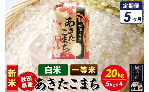 《新米》《定期便5ヶ月》あきたこまち 一等米 20kg（5kg×4袋）【白米】秋田県産 こまちライン [新米 こまちライン あきたこまち ブランド米 お米 白米 精米 米どころ 秋田 秋田県産]