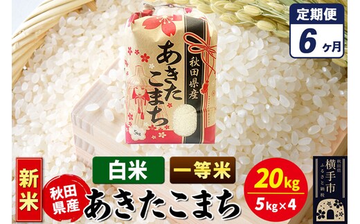 《新米》《定期便6ヶ月》あきたこまち 一等米 20kg（5kg×4袋）【白米】秋田県産 こまちライン [新米 こまちライン あきたこまち ブランド米 お米 白米 精米 米どころ 秋田 秋田県産]