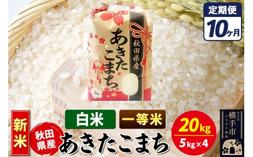 《新米》《定期便10ヶ月》あきたこまち 一等米 20kg【白米】秋田県産 こまちライン [新米 こまちライン あきたこまち ブランド米 お米 白米 精米 米どころ 秋田 秋田県産]