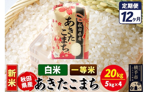 《新米》《定期便12ヶ月》あきたこまち 一等米 20kg【白米】秋田県産 こまちライン [新米 こまちライン あきたこまち ブランド米 お米 白米 精米 米どころ 秋田 秋田県産]