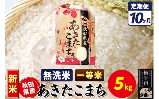 《新米》《定期便10ヶ月》あきたこまち 一等米 5kg【無洗米】秋田県産 こまちライン [新米 こまちライン あきたこまち ブランド米 お米 白米 精米 無洗米 米どころ 秋田 秋田県産]