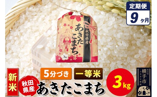 《新米》《定期便9ヶ月》あきたこまち 一等米 3kg×1袋【5分づき】令和8年産 秋田県産 こまちライン [新米 こまちライン あきたこまち ブランド米 お米 5分搗き 精米 米どころ 秋田 秋田県産]