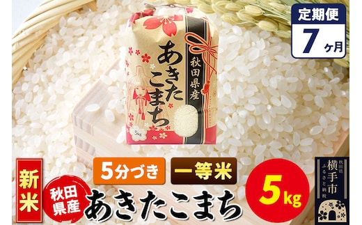 《新米》《定期便7ヶ月》あきたこまち 一等米 5kg【5分づき】秋田県産 こまちライン [新米 こまちライン あきたこまち ブランド米 お米 5分搗き 5分づき 米どころ 秋田 秋田県産]