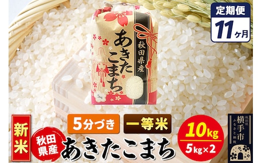 《新米》《定期便11ヶ月》あきたこまち 一等米 10kg【5分づき】秋田県産 こまちライン [新米 こまちライン あきたこまち ブランド米 お米 5分搗き 5分づき 米どころ 秋田 秋田県産]