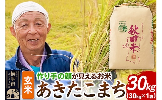《令和7年産》忠さん農園 作り手の顔が見えるお米 秋田県横手市産 あきたこまち 玄米 30kg