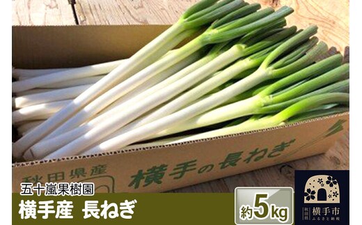 【先行受付】10月下旬より発送 横手産 長ねぎ 約5kg [先行予約 葱 ネギ 野菜 秋田県 横手市]