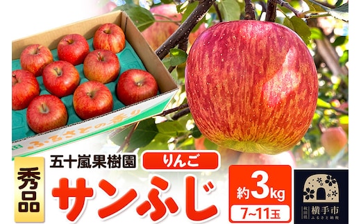 【先行受付】12月中旬より発送 サンふじ【秀品】約3kg（7～11玉）りんご 林檎 [先行予約 サンふじ サンフジ 林檎 リンゴ りんご 秀品 フルーツ 果物 秋田県 横手市]