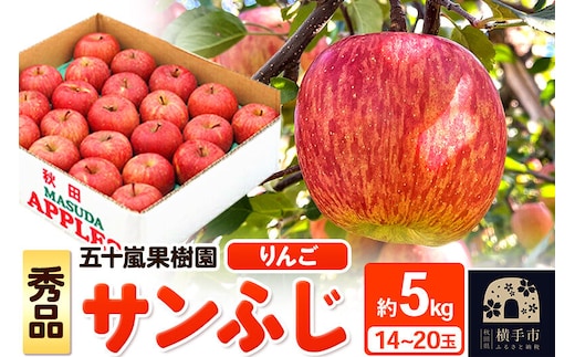 【先行受付】12月中旬より発送 サンふじ【秀品】約5kg（14～20玉）りんご 林檎 [先行予約 サンふじ サンフジ 林檎 リンゴ フルーツ 果物 【りんご】特集]