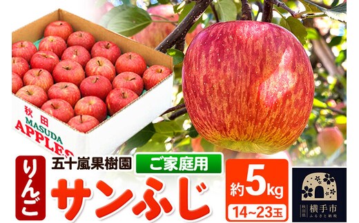 【先行受付】12月中旬より発送 サンふじ 【ご家庭用】約5kg（14～23玉）りんご 林檎 [先行予約 サンふじ サンフジ 林檎 リンゴ ご家庭用 家庭用 ご家庭向け 家庭向け フルーツ 果物 【りんご】特集]
