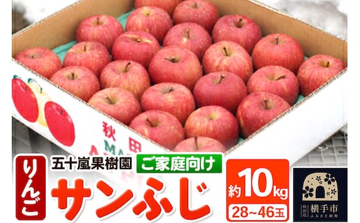 【先行受付】12月中旬より発送 【ご家庭向け】サンふじ 約10kg (28～46玉) りんご 林檎 [先行予約 サンふじ サンフジ 林檎 リンゴ りんご ご家庭用 家庭用 ご家庭向け 家庭向け フルーツ 果物 秋田県 横手市]