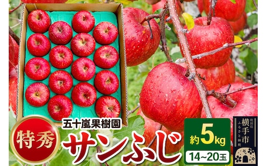 【先行受付】12月中旬より発送 サンふじ 【特秀】 約5kg（14～20玉）りんご 林檎 [先行予約 サンふじ サンフジ 林檎 リンゴ フルーツ 果物 【りんご】特集]