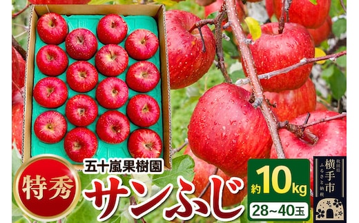 【先行受付】12月中旬より発送 サンふじ 【特秀】 約10kg（28～40玉）りんご 林檎 [先行予約 サンふじ サンフジ 林檎 リンゴ フルーツ 果物 【りんご】特集]