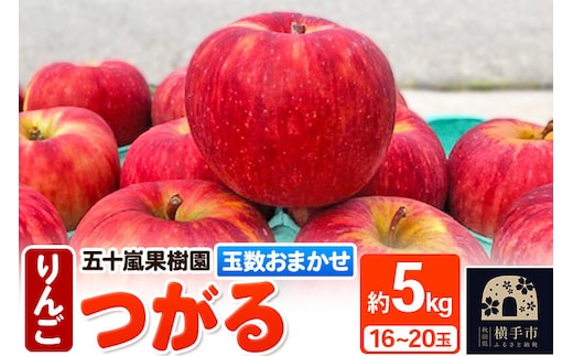 つがる りんご 約5kg（16～20玉）玉数おまかせ [秋田県 横手市 林檎 リンゴ 果物 フルーツ 【りんご】特集]