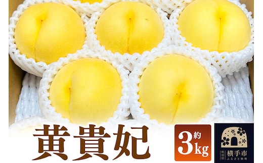 【先行受付】9月上旬より発送 黄貴妃 約3kg（9～13玉前後）モモ もも 黄色桃 [先行予約 もも モモ 黄桃 黄色桃 果物 フルーツ 横手産 秋田産 秋田県産]