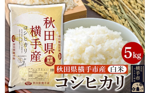 【白米】令和7年産 横手市産コシヒカリ 5kg [秋田県産 コシヒカリ こしひかり 5キロ]