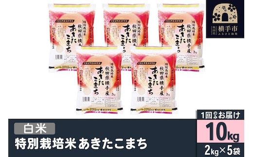 【白米】令和7年産 特別栽培米 あきたこまち 10kg（2kg×5袋） [秋田県産 あきたこまち 特別栽培米 10キロ 令和7年産 秋田こまち]