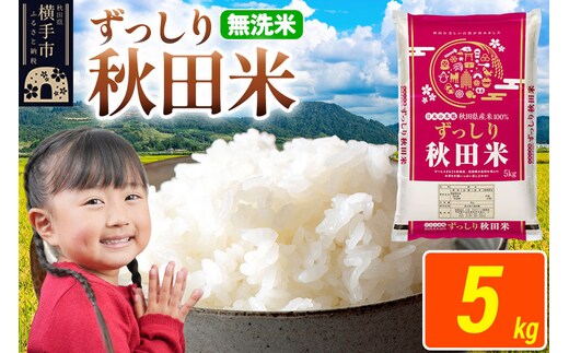 米 秋田県 横手市産 ブレンド米 令和7年産【無洗米】5kg（5kg×1袋） [米 お米 こめ 白米 無洗米 ブレンド米 小分け ご飯 ごはん 秋田県産 横手市]
