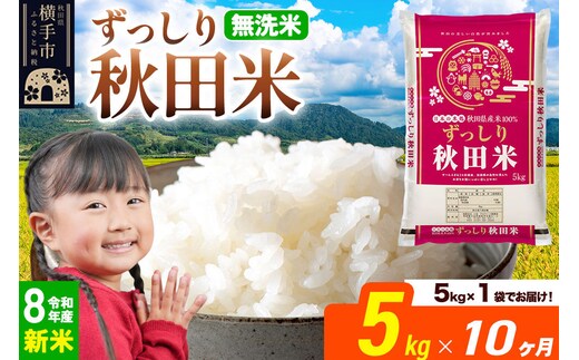 《令和8年産 新米受付》《定期便10ヶ月》秋田県 横手市産 ブレンド米【無洗米】5kg（5kg×1袋） [米 お米 こめ 白米 無洗米 ブレンド米 小分け ご飯 ごはん 秋田県産 横手市]