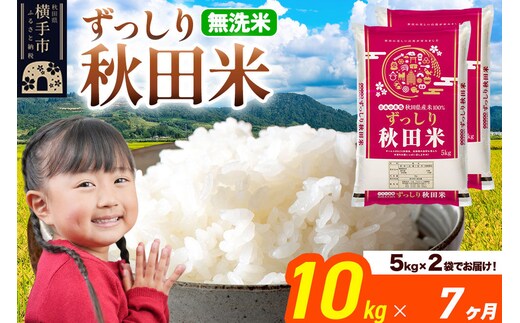 米《定期便7ヶ月》秋田県 横手市産 ブレンド米 令和7年産【無洗米】10kg（5kg×2袋） [米 お米 こめ 白米 無洗米 ブレンド米 小分け ご飯 ごはん 秋田県産 横手市]