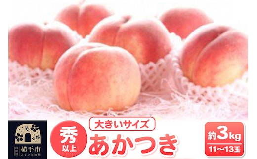 【先行受付】8月上旬より発送 横手市増田産の桃 あかつき 約3kg 秀以上 11～13玉 大きいサイズ [先行予約 もも モモ 果物 フルーツ 横手産 秋田産 秋田県産 大玉]