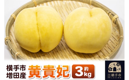【先行受付】9月上旬より発送 横手市増田産の桃（黄貴妃）約3kg [先行予約 もも モモ 黄桃 黄色桃 果物 フルーツ 横手産 秋田産 秋田県産]