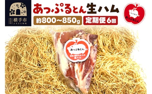 《定期便6ヶ月》秋田県横手市産 あっぷるとん 長期熟成生ハムブロック 約800～850g
