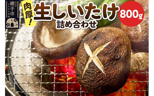 生しいたけ詰め合わせ 800g 秋田新鮮組