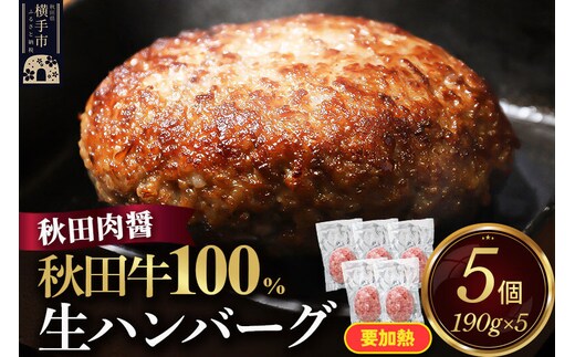 秋田牛100％ 生ハンバーグ 190g×5個 ビッグサイズ 秋田肉醤 国産牛 和牛 [手作り 国産 牛肉 ブランド牛 ご家庭用 ご贈答用 お取り寄せ]