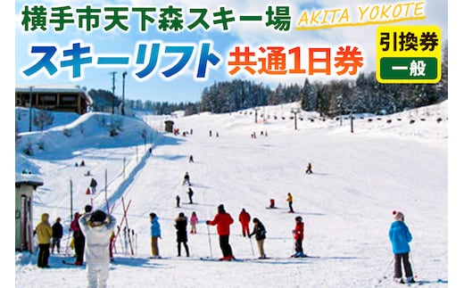 横手市天下森スキー場 スキーリフト共通1日券（一般）引換券 ゆうパケット
