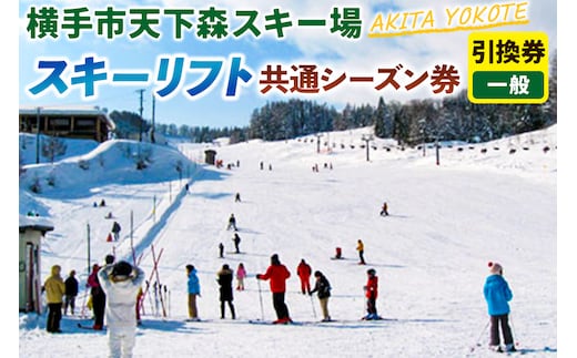 横手市天下森スキー場 スキーリフト共通シーズン券（一般）引換券 ゆうパケット