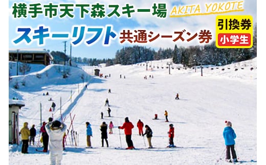 横手市天下森スキー場 スキーリフト共通シーズン券（小学生）引換券 ゆうパケット