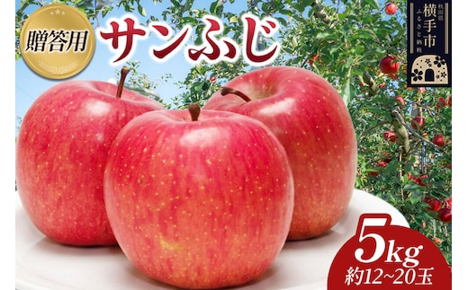 【先行受付】12月上旬より発送 樹上完熟りんご（サンふじ）贈答用 約5kg（約12～20玉） 喜三郎農園 [先行予約 秋田県 横手市 林檎 リンゴ りんご 果物 フルーツ 贈答用]