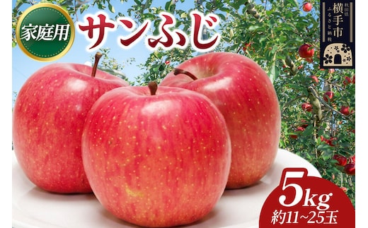 【先行受付】12月上旬より発送 樹上完熟りんご（サンふじ）家庭用 約5kg（約11～25玉） 喜三郎農園 [先行予約 秋田県 横手市 林檎 リンゴ りんご 果物 フルーツ 家庭用]