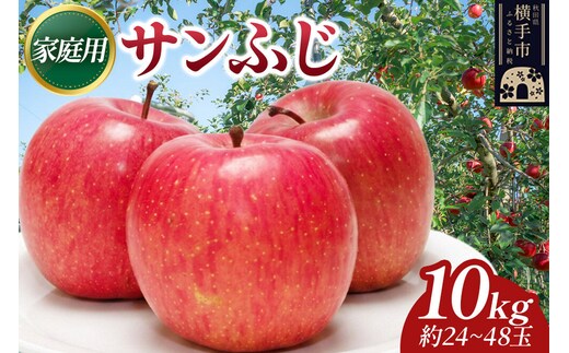 【先行受付】12月上旬より発送 樹上完熟りんご（サンふじ）家庭用 約10kg（約24～48玉） 喜三郎農園 [先行予約 秋田県 横手市 林檎 リンゴ りんご 果物 フルーツ 家庭用]