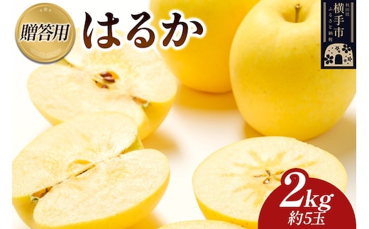 【先行受付】12月上旬より発送 樹上完熟りんご（はるか）贈答用 約2kg（約5玉） 喜三郎農園 [先行予約 秋田県 横手市 林檎 リンゴ りんご 果物 フルーツ 贈答用]