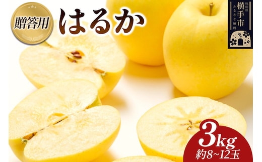 【先行受付】12月上旬より発送 樹上完熟りんご（はるか）贈答用 約3kg（約8～12玉） 喜三郎農園 [先行予約 秋田県 横手市 林檎 リンゴ りんご 果物 フルーツ 贈答用]