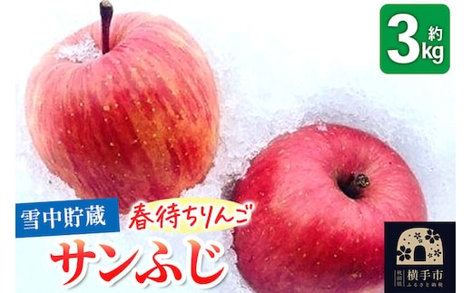 《先行受付！3月上旬より順次発送》雪中貯蔵 春待ちりんご サンふじ 3kg [先行予約 りんご フジ 希少 サンフジ 【りんご】特集]