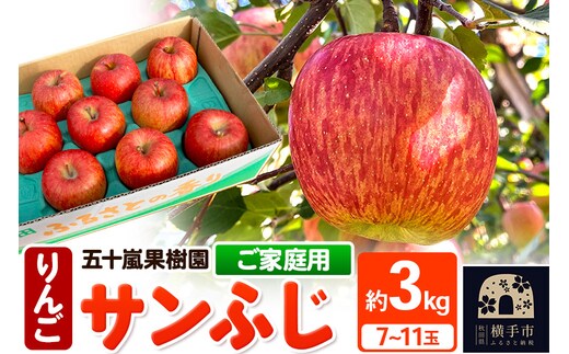 12月中旬より発送 サンふじ【ご家庭向け】約3kg（7～11玉）りんご 林檎