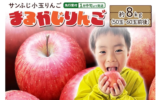 【先行受付】1月中旬より発送 【ご家庭用】サンふじ小玉りんご「まるかじりんご」約8kg（50玉～60玉前後）