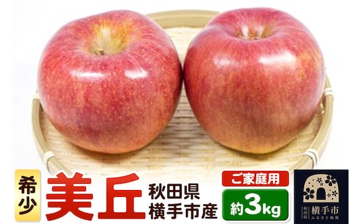 【先行受付 12月中旬より発送】希少品種！追熟でおいしさ倍増！横手市産りんご(美丘) ご家庭用 約3kg [先行予約 秋田県 横手市 林檎 リンゴ 果物 フルーツ 【りんご】特集]