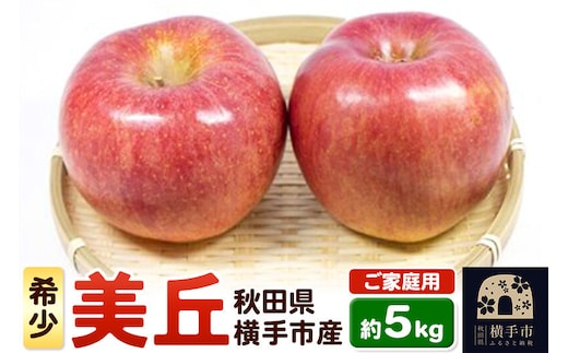 【先行受付 12月中旬より発送】希少品種！追熟でおいしさ倍増！横手市産りんご(美丘) ご家庭用 約5kg [先行予約 秋田県 横手市 林檎 リンゴ 果物 フルーツ 【りんご】特集]