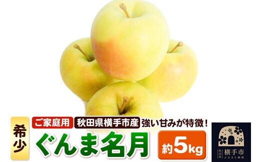 【先行受付 11月上旬より発送】希少品種！秋田県横手産 りんご ぐんま名月 ご家庭用 約5kg [先行予約 秋田県 横手市 林檎 リンゴ 果物 フルーツ 希少 【りんご】特集]