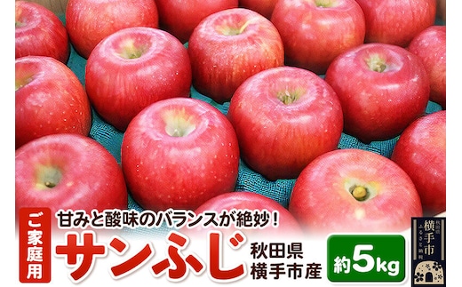【先行受付 12月上旬より発送】秋田県横手産 りんご サンふじ ご家庭用 約5kg [先行予約 秋田県 横手市 林檎 リンゴ 果物 フルーツ 【りんご】特集]