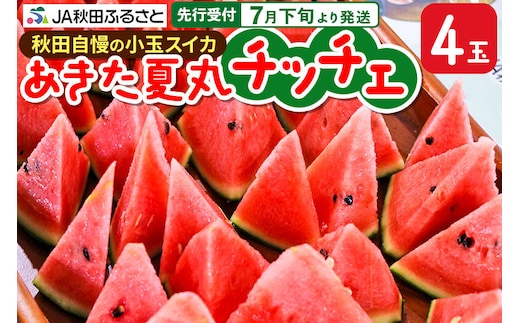 【先行受付】7月下旬より発送 秋田県横手市産 小玉すいか あきた夏丸チッチェ 約3kg×4玉セット [先行予約 スイカ 小玉 4玉 西瓜 すいか 秋田夏丸 ちっちぇ 果物 フルーツ]
