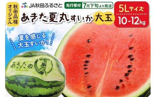 【先行受付】7月下旬より発送 秋田県横手市産 あきた夏丸すいか 5Lサイズ×1玉（約10～12kg）化粧箱入り [先行予約 大玉 5Lサイズ 特大 スイカ すいか 西瓜 秋田県 横手市 果物 フルーツ 化粧箱 贈答用 贈り物]