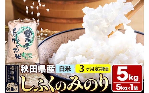 【白米】《定期便3ヶ月》令和7年産 しふくのみのり 5kg（5kg×1袋）×3回 計15kg 秋田県産 横手市
