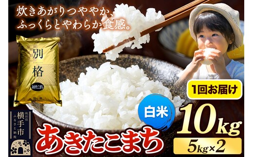 《令和7年産》 米 あきたこまち 10kg（5kg×2袋） 【白米】 秋田県産