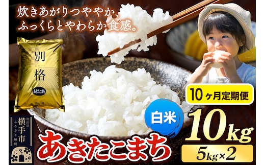 《令和7年産》《定期便10ヶ月》 米 あきたこまち 10kg（5kg×2袋） 【白米】 秋田県産