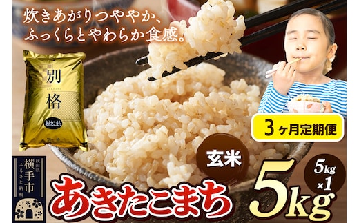 《令和7年産》《定期便3ヶ月》 米 あきたこまち 5kg 【玄米】 秋田県産