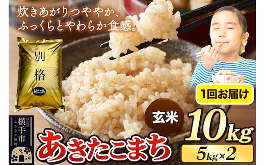 《令和7年産》 米 あきたこまち 10kg（5kg×2袋） 【玄米】 秋田県産